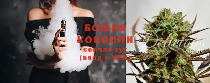 Конопля SATIVA & INDICA  гидра ссылки  Нерчинск  цена наркотик 